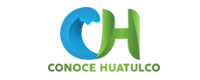 Logo VIII